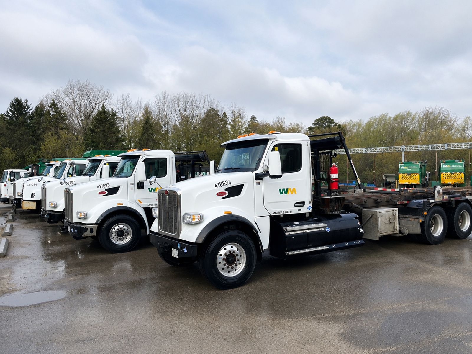 A row of transport trucks freshly washed by EcoLogic